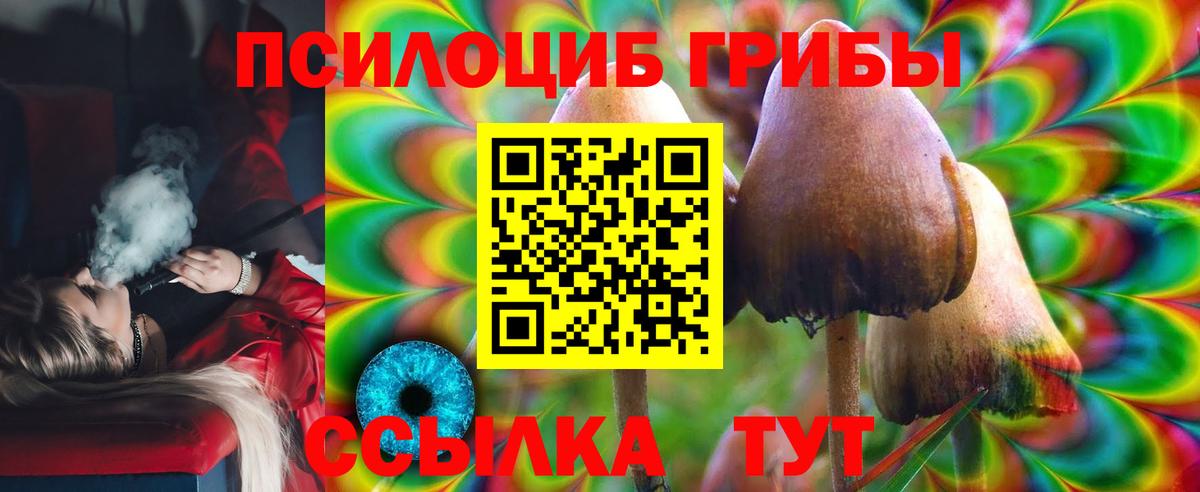 Галлюциногенные грибы MAGIC MUSHROOMS  Галлюциногенные грибы прущие грибы  Вход с VPN  Сегежа 
